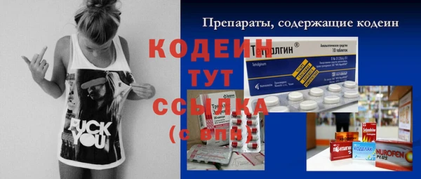 стафф Осинники
