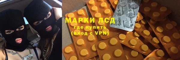 стафф Осинники