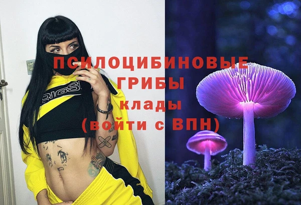 прущие грибы Осташков