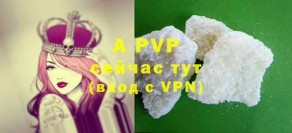 прущая мука Пересвет