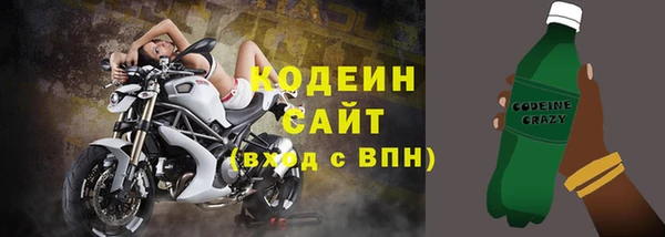 прущие грибы Осташков