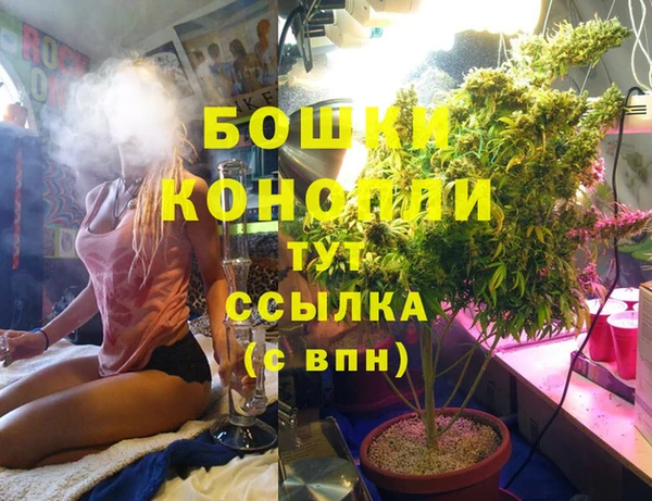 стафф Осинники