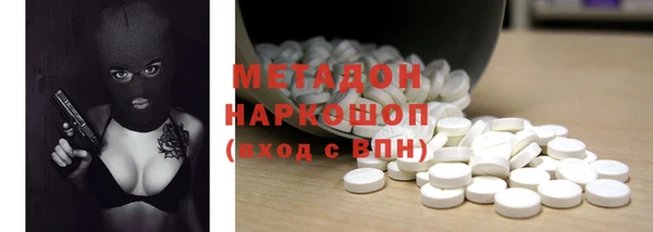 прущие грибы Осташков