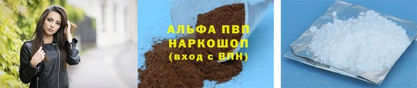 стафф Осинники