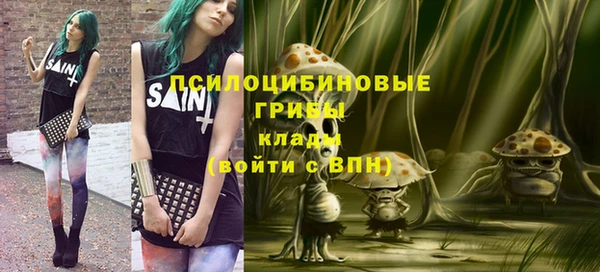 прущие грибы Осташков
