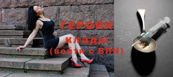 прущие грибы Осташков