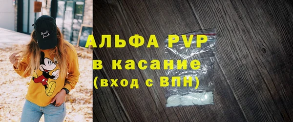 стафф Осинники