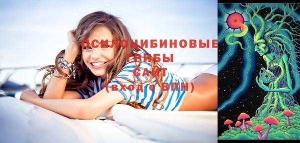 стафф Осинники