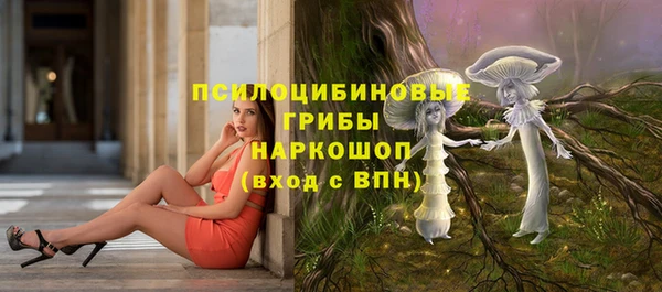 стафф Осинники