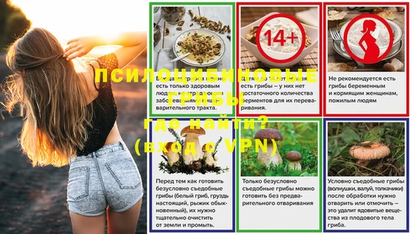 прущие грибы Осташков