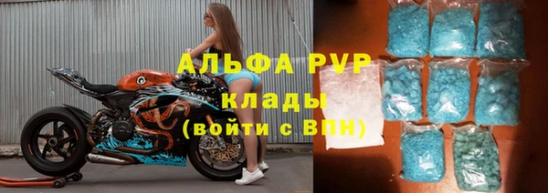 прущие грибы Осташков