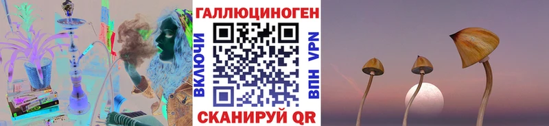 это наркотические препараты KRAKEN ТОР Новотитаровская как найти наркотики Псилоцибиновые грибы мицелий